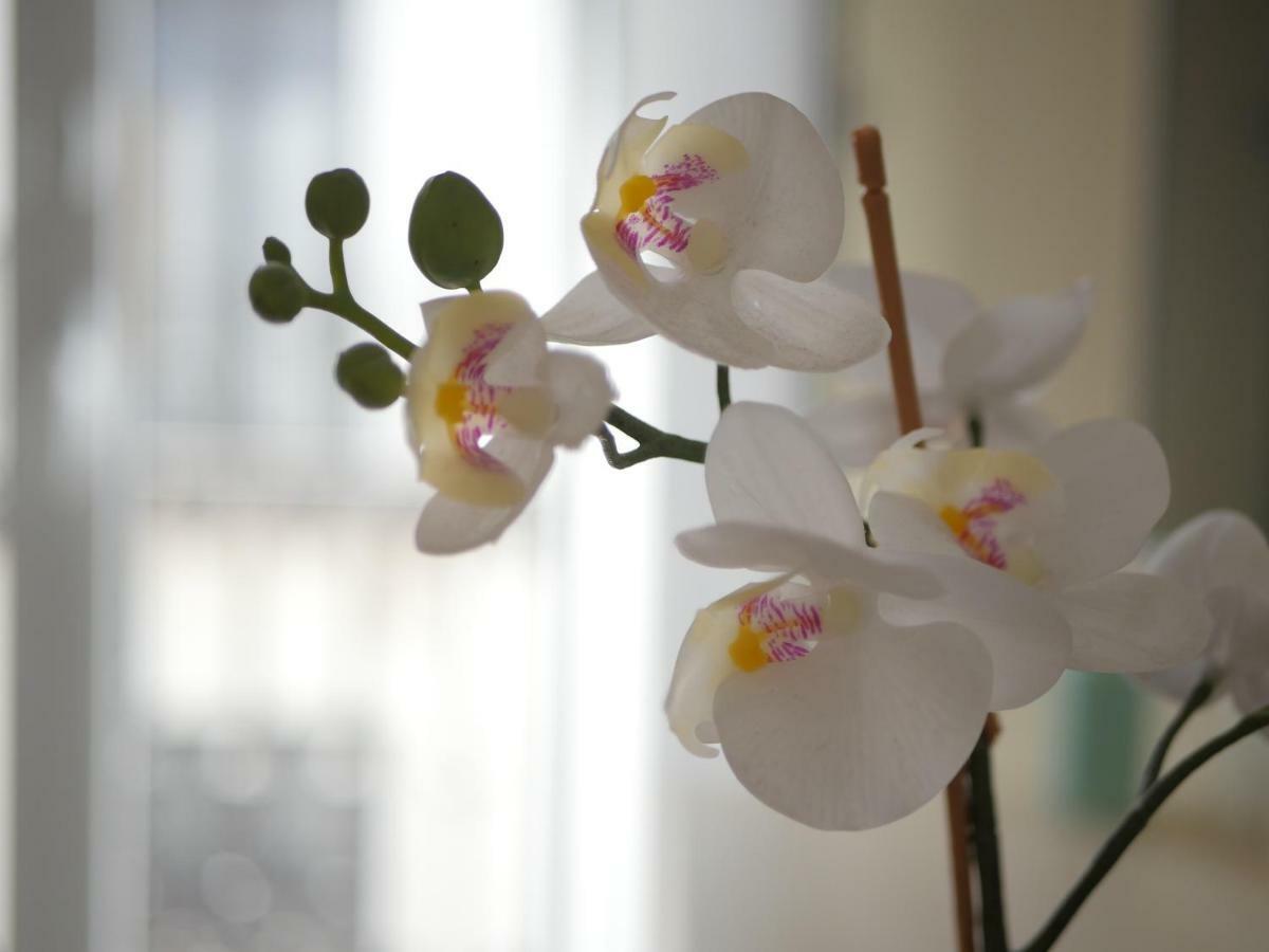 Home In Seville Luxury V33-1A ภายนอก รูปภาพ